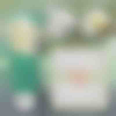 Zgjidhje e menjëhershme për riparimin e mureve | WALLFIX