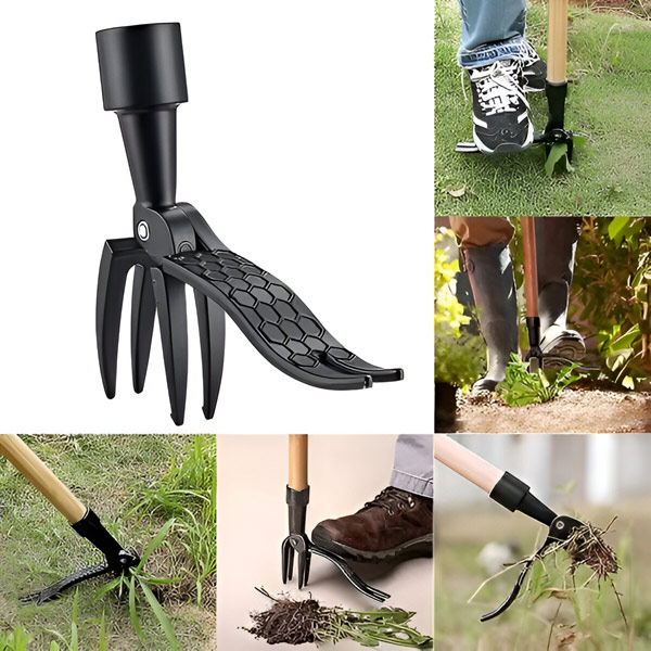 ROOTNIK