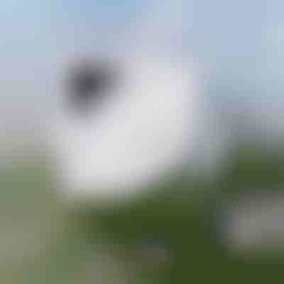 Pastrimi i dritareve pa mund | WINDOWSWIPE