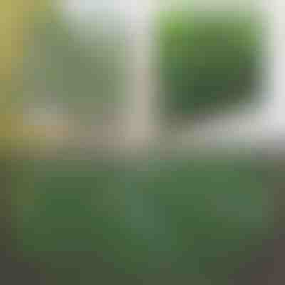 Rrethim dekorativ dhe praktik për terracë dhe kopsht | GREENFENCE